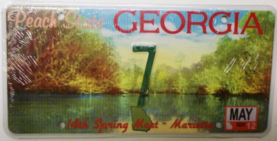 Georgia_8D